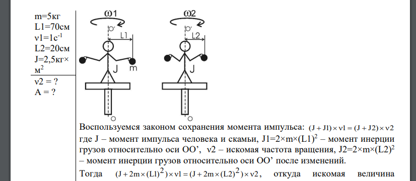 На скамье Жуковского сидит человек и держит на вытянутых руках гири массой m=5 кг каждая. Расстояние от каждой гири до оси