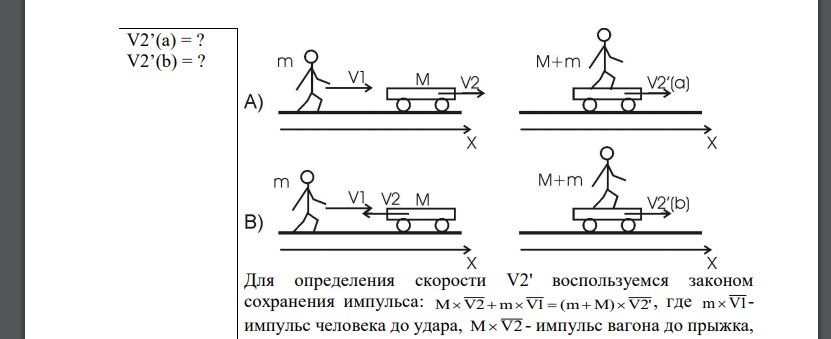 Человек массой m=70 кг, бегущий со скоростью V1=9 км/ч, догоняет тележку массой M=190кг, движущуюся со скоростью V2=3,6 км/ч, и вскакивает