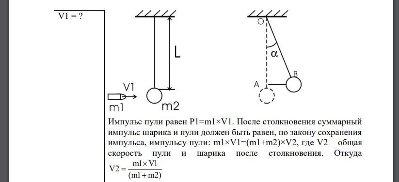 В подвешенный на нити длиной L = 1,8 м деревянный шар массой m2 =0,8 кг попадает горизонтально летящая пуля массой m1= 4 г. С какой скоростью