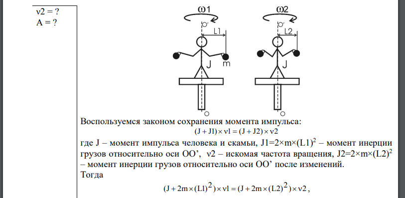 На скамье Жуковского сидит человек и держит на вытянутых руках гири массой m=5 кг каждая. Расстояние от