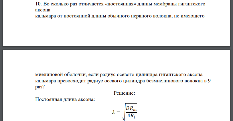 Во сколько раз отличается «постоянная» длины мембраны гигантского аксона кальмара от постоянной длины обычного нервного волокна, не имеющего