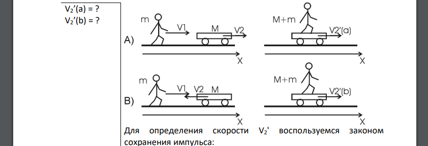 Человек массой m= 70 кг, бегущий со скоростью V1 = 9 км/ч, догоняет тележку массой M = 190 кг