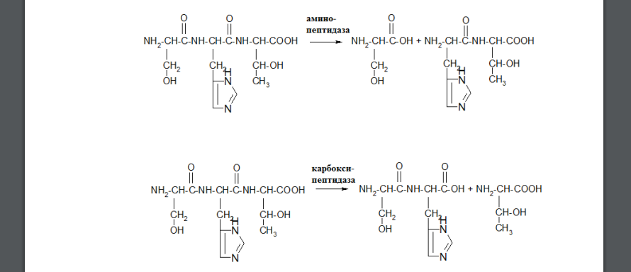 Составьте схемы гидролиза приведённого ниже трипептида под действием карбоксипептидазы и под действием аминопептидазы