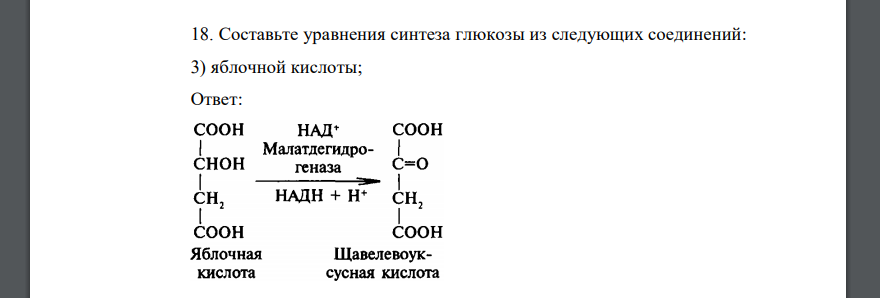 Составьте уравнения синтеза глюкозы из следующих соединений: 3) яблочной кислоты