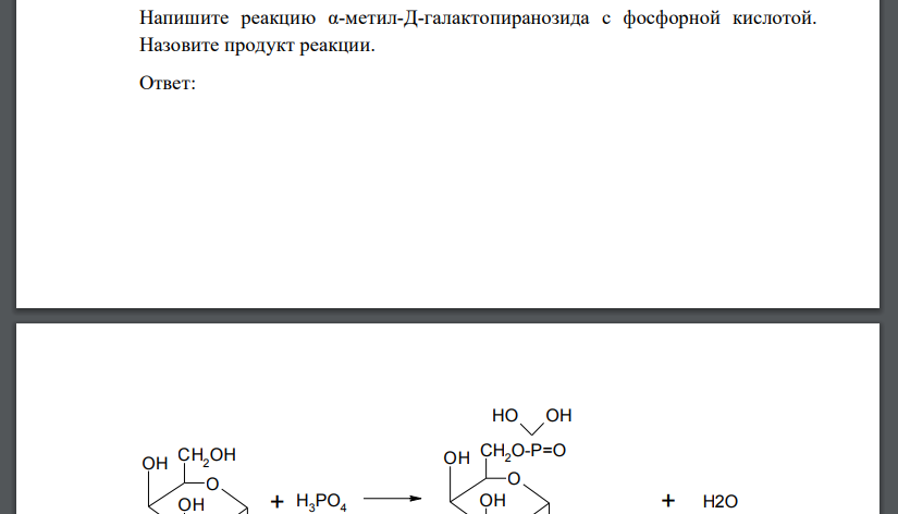 Напишите реакцию α-метил-Д-галактопиранозида с фосфорной кислотой. Назовите продукт реакции.