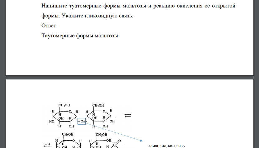 Напишите туатомерные формы мальтозы и реакцию окисления ее открытой формы. Укажите гликозидную связь.