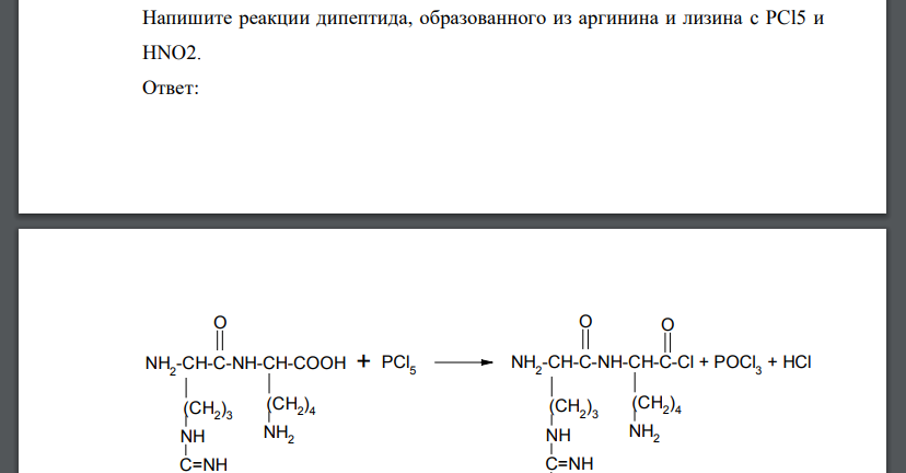 Напишите реакции дипептида, образованного из аргинина и лизина c PCl5 и HNO2.