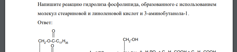 Напишите реакцию гидролиза фосфолипида, образованного с использованием молекул стеариновой и линоленовой кислот и