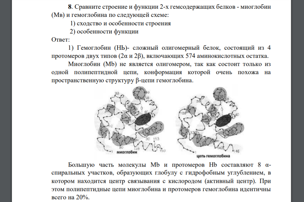 Сравните строение и функции 2-х гемсодержащих белков - миоглобин (Мв) и гемоглобина по следующей схеме: 1) сходство и особенности строения