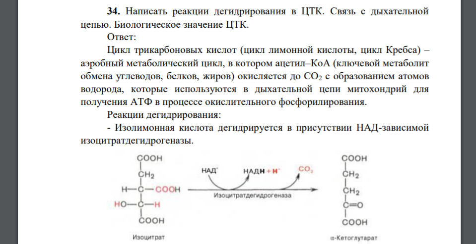 Ответы по циклу