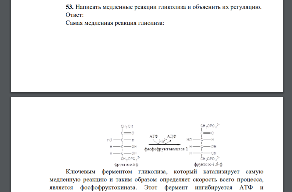 Написать медленные реакции гликолиза и объяснить их регуляцию.