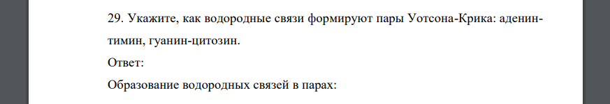 Укажите, как водородные связи формируют пары Уотсона-Крика: аденинтимин, гуанин-цитозин