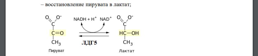 Известно, что лактатдегидрогеназа существует в виде 5 изоферментов, каждая из форм состоит из 4-х полипептидных цепей. Все 5 изоферментов содержат в разных