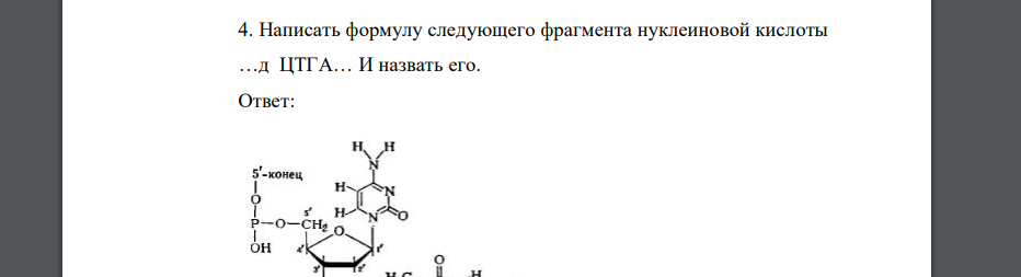 Написать формулу следующего фрагмента нуклеиновой кислоты …д ЦТГА… И назвать его.