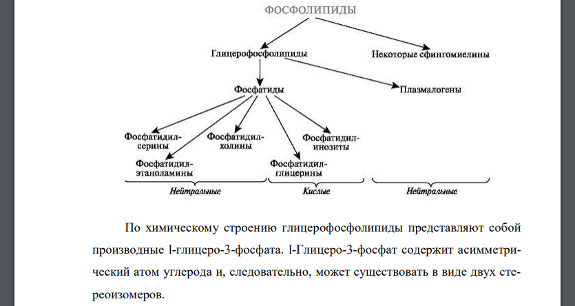 Состав и строение сложных липидов. Приведите примеры некоторых фосфолипидов.