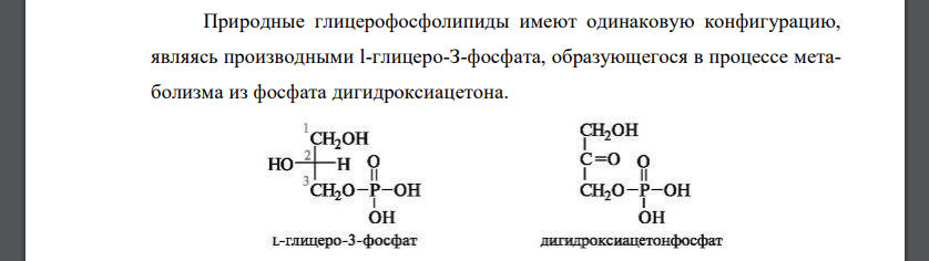 Состав и строение сложных липидов. Приведите примеры некоторых фосфолипидов.