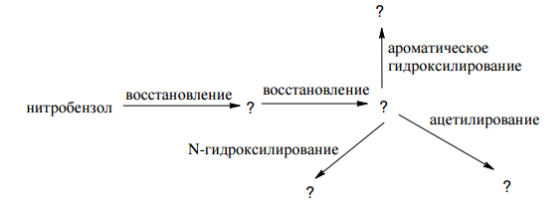 Заполните схему метаболических превращений нитробензола – промежуточного продукта в синтезе лекарственных препаратов: