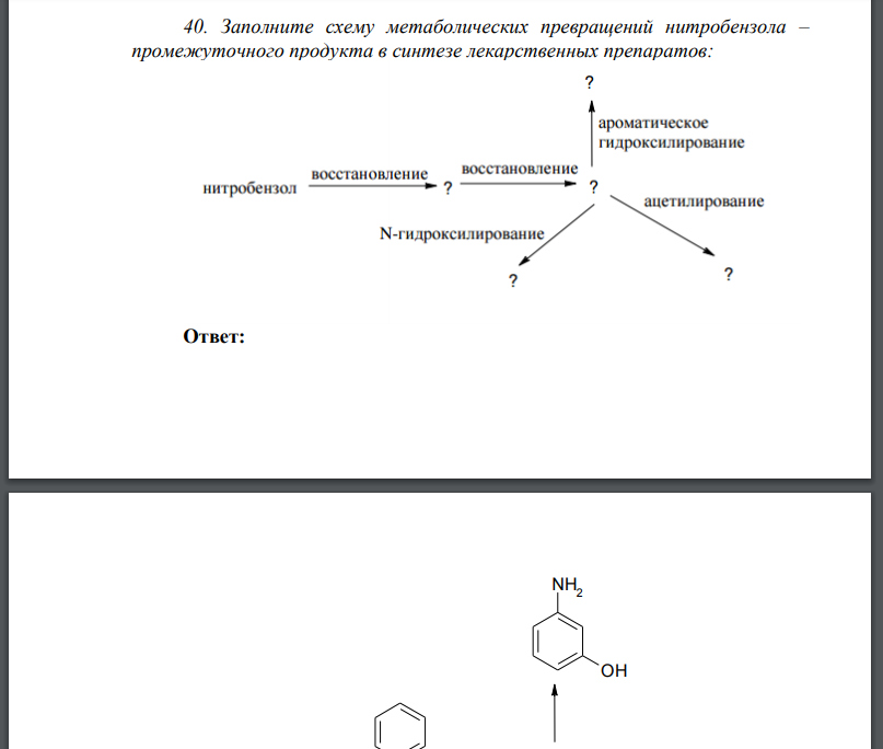 Заполните схему метаболических превращений нитробензола – промежуточного продукта в синтезе лекарственных препаратов:
