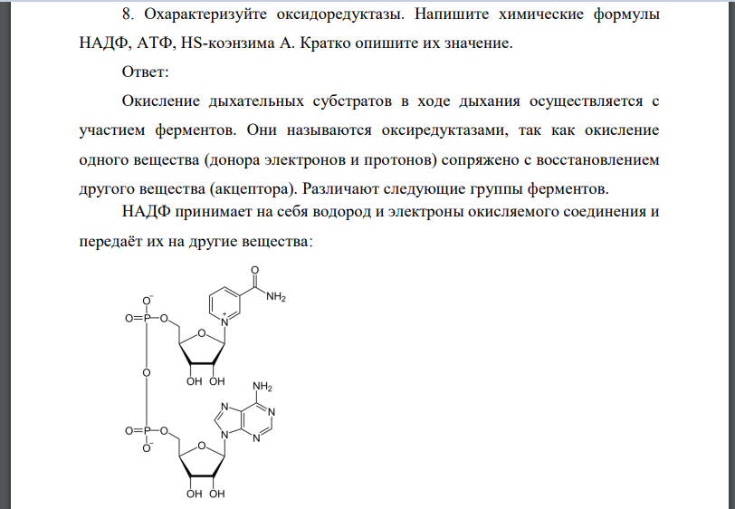 Охарактеризуйте оксидоредуктазы. Напишите химические формулы НАДФ, АТФ, HS-коэнзима А. Кратко опишите их значение