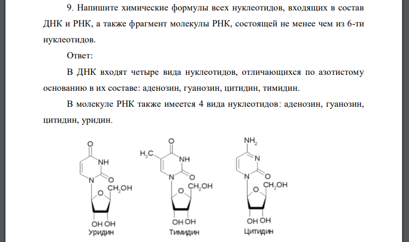Напишите химические формулы всех нуклеотидов, входящих в состав ДНК и РНК, а также фрагмент молекулы РНК, состоящей