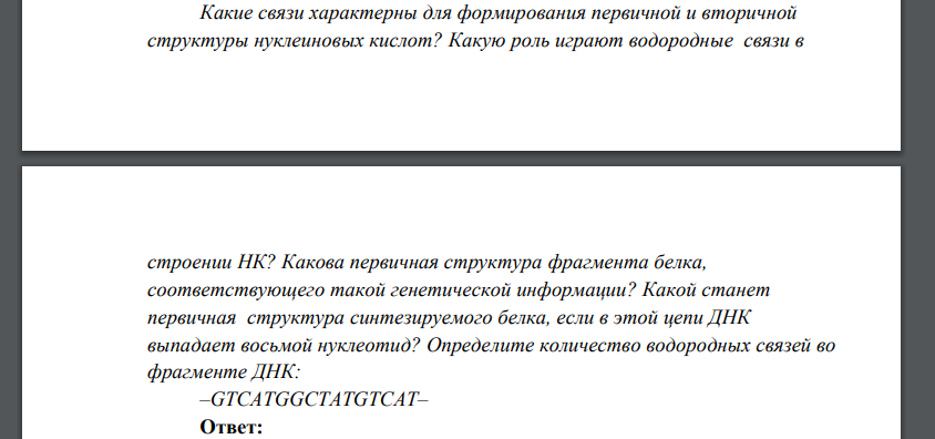 Какие связи характерны для формирования первичной и вторичной структуры нуклеиновых кислот? Какую роль играют водородные связи в строении НК? Какова