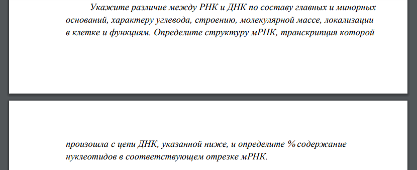 Укажите различие между РНК и ДНК по составу главных и минорных оснований, характеру углевода, строению, молекулярной массе, локализации в клетке