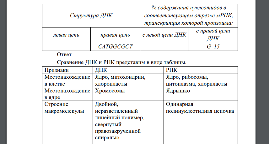 Укажите различие между РНК и ДНК по составу главных и минорных оснований, характеру углевода, строению, молекулярной массе, локализации в клетке