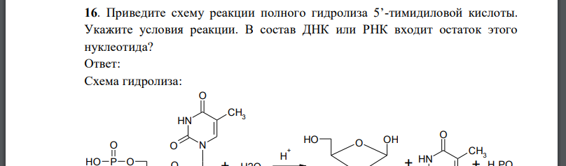 Приведите схему реакции полного гидролиза 5’-тимидиловой кислоты. Укажите условия реакции. В состав ДНК или РНК входит остаток этого