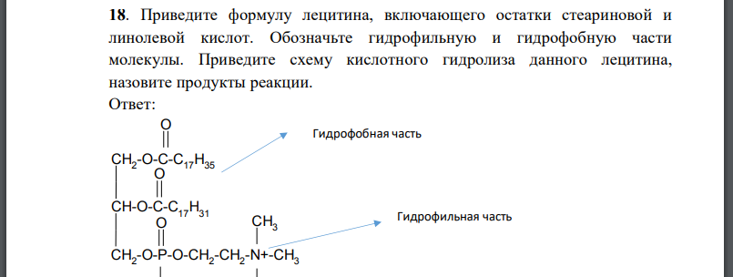 Приведите формулу лецитина, включающего остатки стеариновой и линолевой кислот. Обозначьте гидрофильную и гидрофобную части