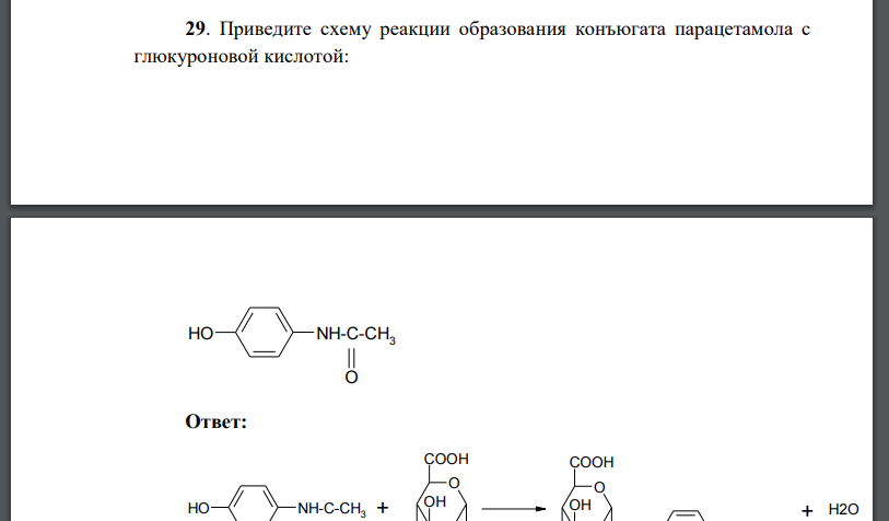 Приведите схему реакции образования конъюгата парацетамола с глюкуроновой кислотой:
