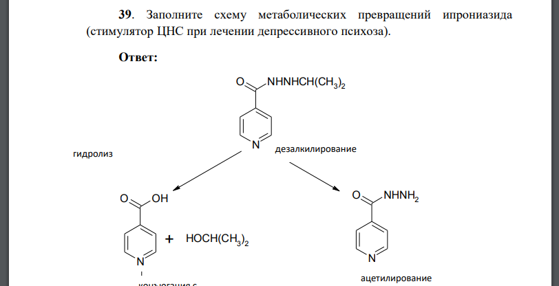 Заполните схему метаболических превращений ипрониазида (стимулятор ЦНС при лечении депрессивного психоза).