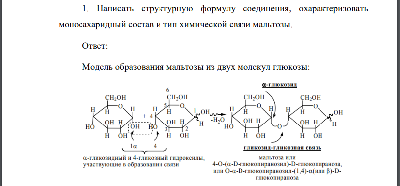 Написать структурную формулу соединения, охарактеризовать моносахаридный состав и тип химической связи мальтозы.