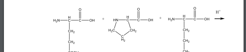 Напишите уравнение реакции получения трипептида: глутамилпролиллизин.