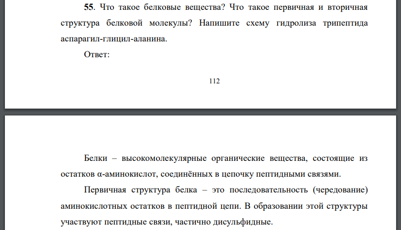 Что такое белковые вещества? Что такое первичная и вторичная структура белковой молекулы?