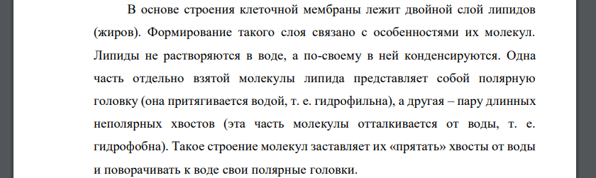 Строение клеточной мембраны. Полярные липиды и белки как основные компоненты мембран.