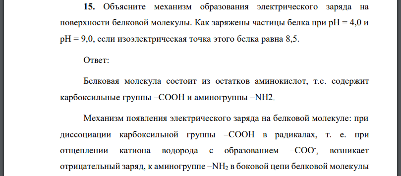 Объясните механизм образования электрического заряда на поверхности белковой молекулы.