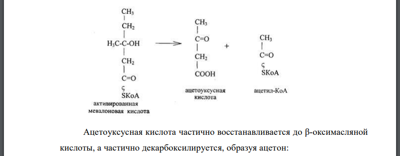 Образование кетоновых тел и их окисление. Напишите уравнение реакции образования ацетона из ацетоуксусной кислоты.
