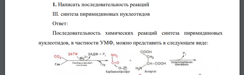 Написать последовательность реакций III. синтеза пиримидиновых нуклеотидов