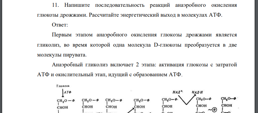 Напишите последовательность реакций анаэробного окисления глюкозы дрожжами. Рассчитайте энергетический выход в молекулах АТФ.