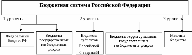 Муниципальная бюджетная система уровни