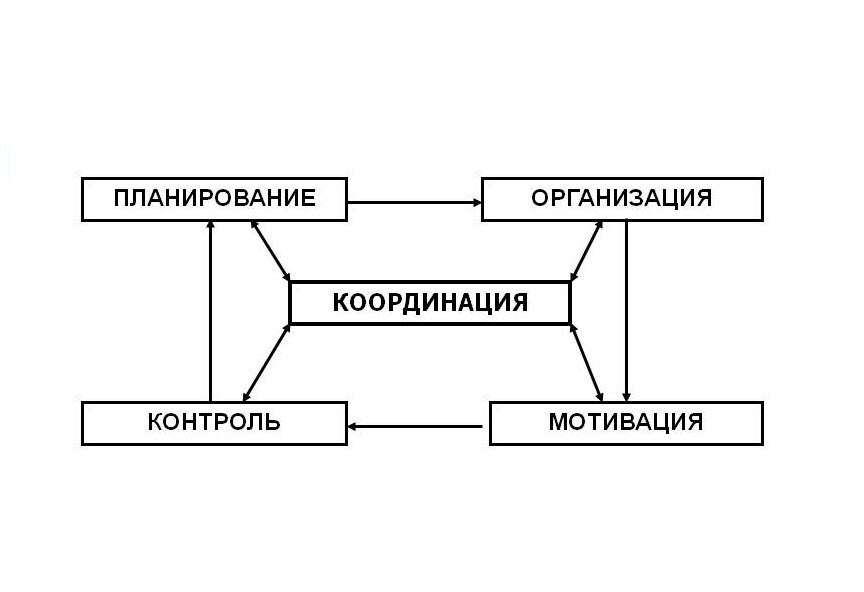 C:\Users\Aser\Desktop\Теория менеджмента\основные функции управления.jpg