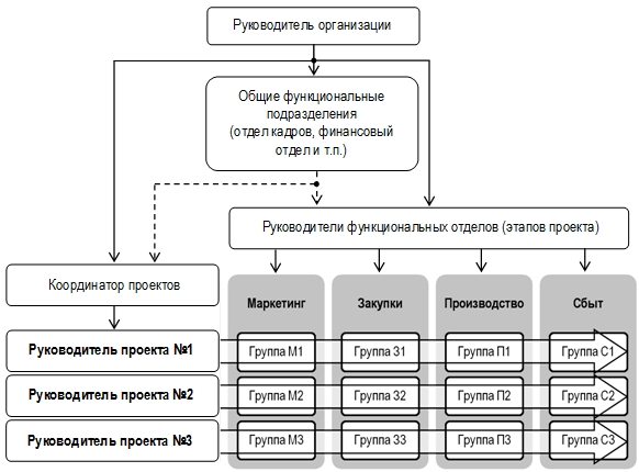 Организационная структура университета синергия схема