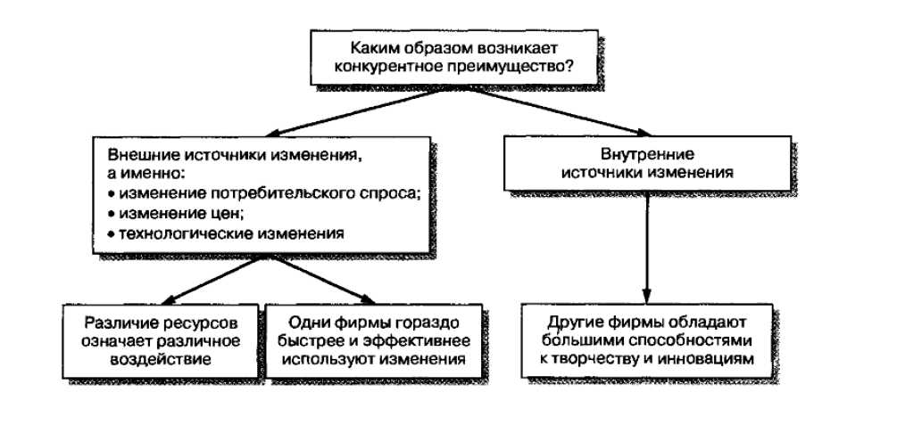 Конкурентные преимущества проекта на рынке