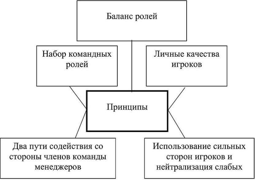 Для чего служат предварительная и исполнительная команды. Принципы построения команды. Командные роли.