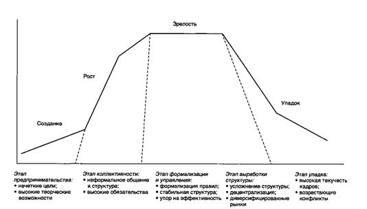Рисунок жизненный цикл организации