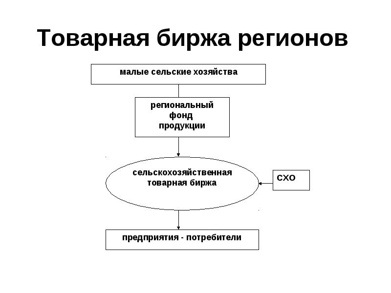 Товарная биржа. Товарная биржа занимается. Функции товарной биржи. Задачи товарной биржи.