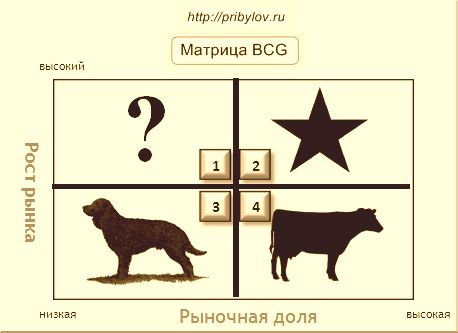 Картинки по запросу матрица bcg