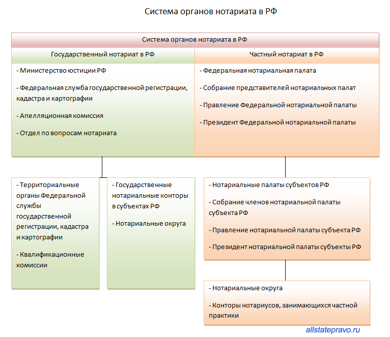 Система адвокатуры схема