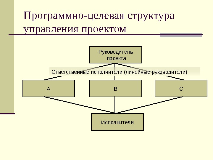 Целевые структуры. Программно-целевая структура управления схема. Программно-целевая организационная структура. Программно-целевая организационная структура схема. Программно-целевая организационная структура управления компанией.