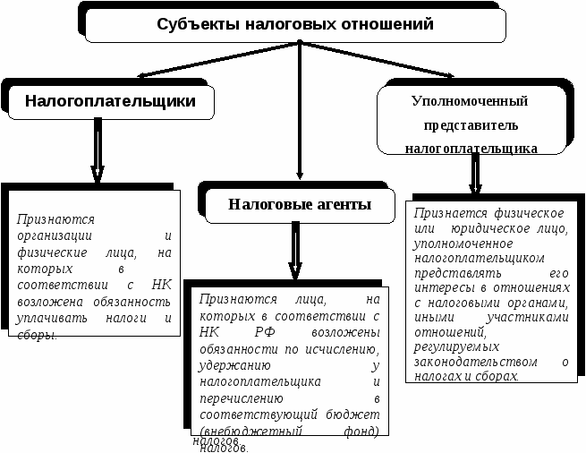 Налоговое право в схемах